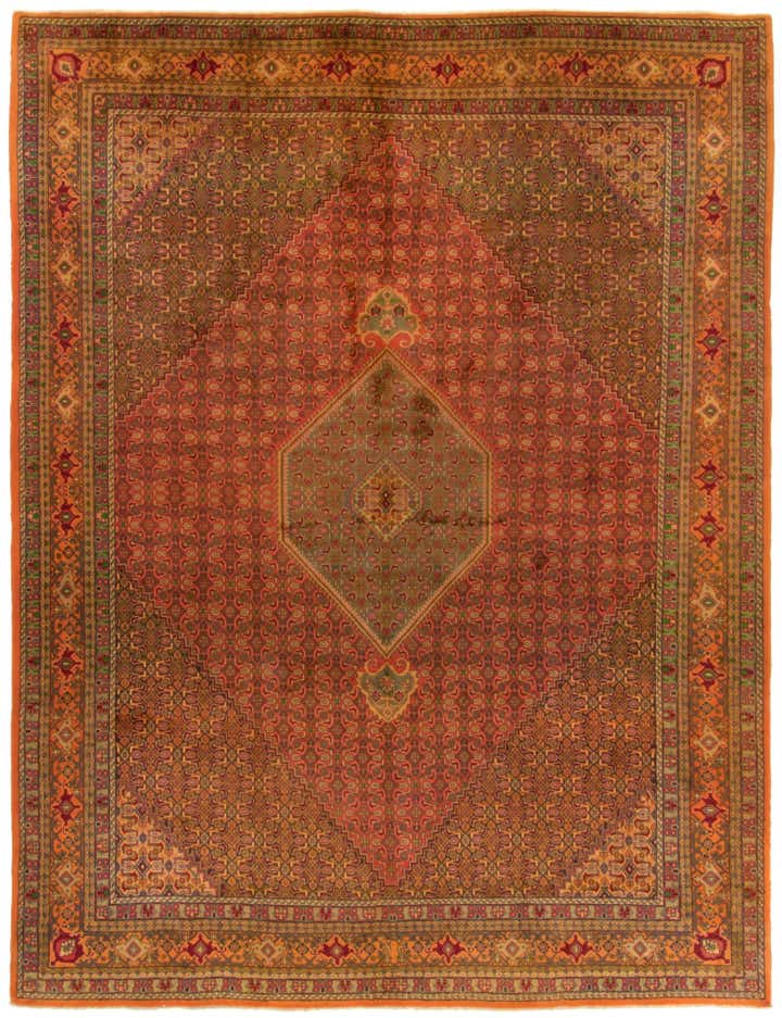 9' 7 x 12' 3 Hand Knotted Bidjar Persian Wool Rug