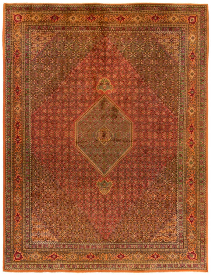 Detail image of 9' 7 x 12' 3 Hand Knotted Bidjar Persian Wool Rug