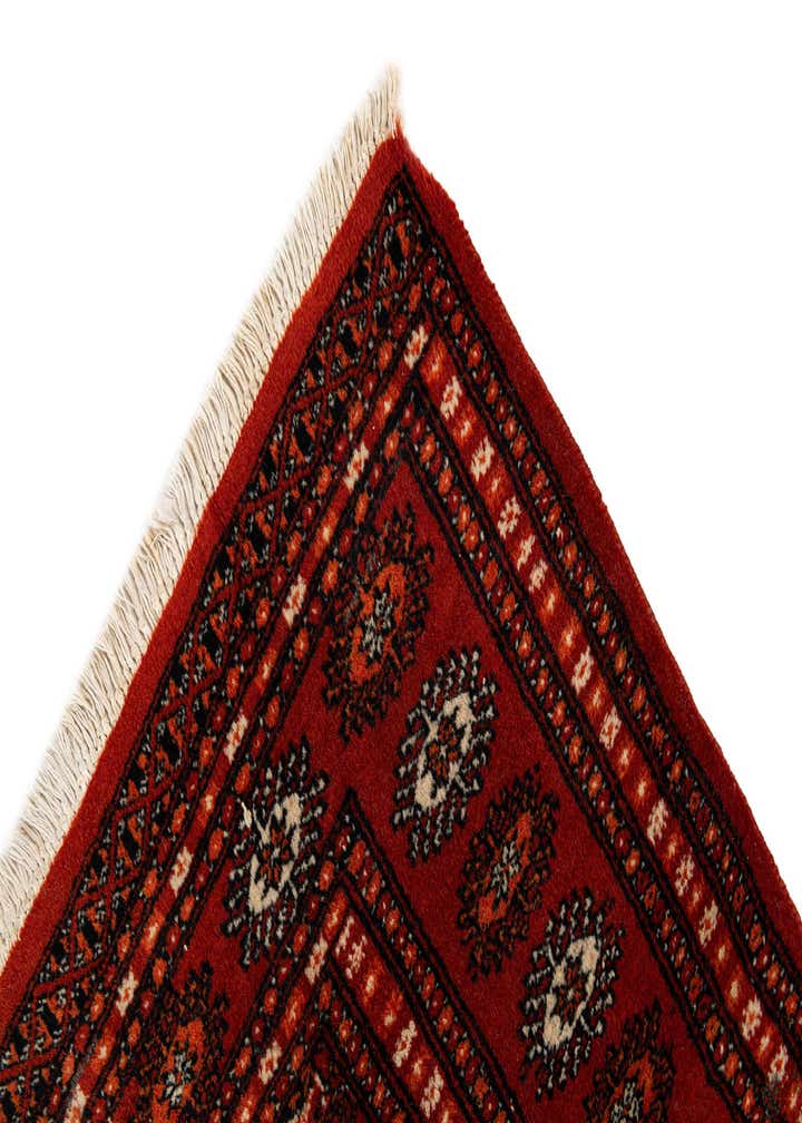 4' 1 x 6' 2 Hand Knotted Bokhara Oriental Wool Rug