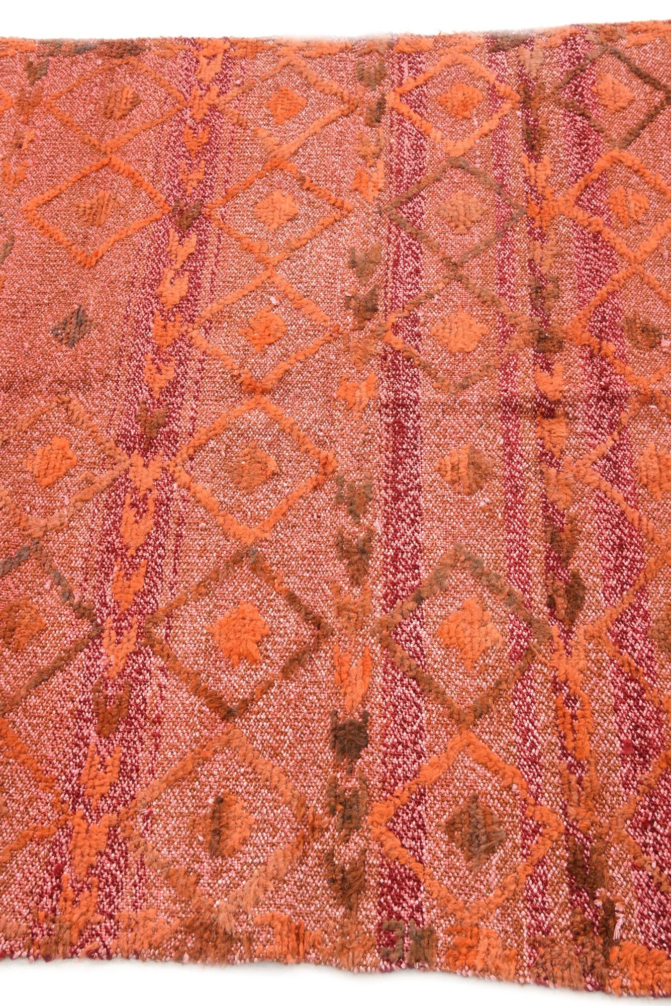 4' x 6' 7 Hand Knotted Darya Wool Rug