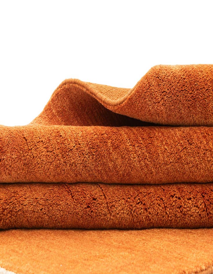 Detail image of 4' 5 x 5' 9 Gabbeh Shouli Rug