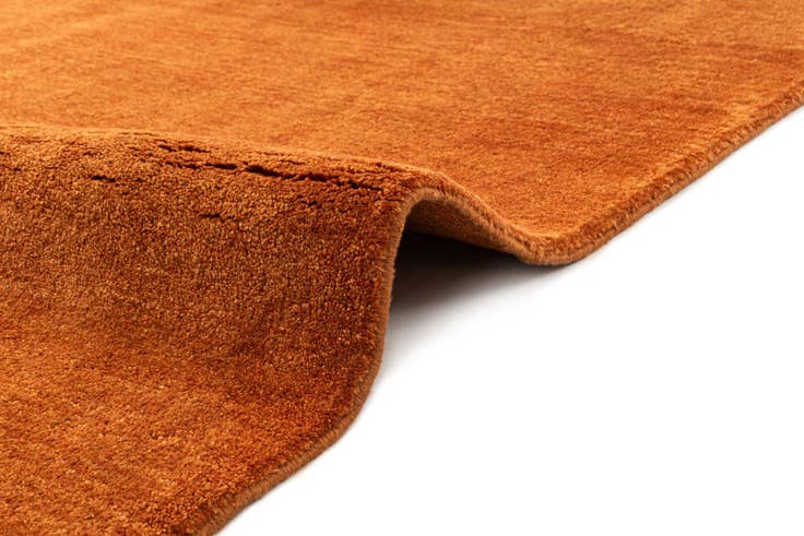 Detail image of 4' 5 x 5' 9 Gabbeh Shouli Rug