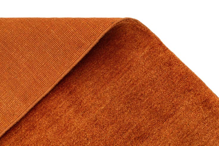 Detail image of 4' 5 x 5' 9 Gabbeh Shouli Rug