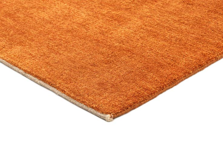 Detail image of 4' 5 x 5' 9 Gabbeh Shouli Rug