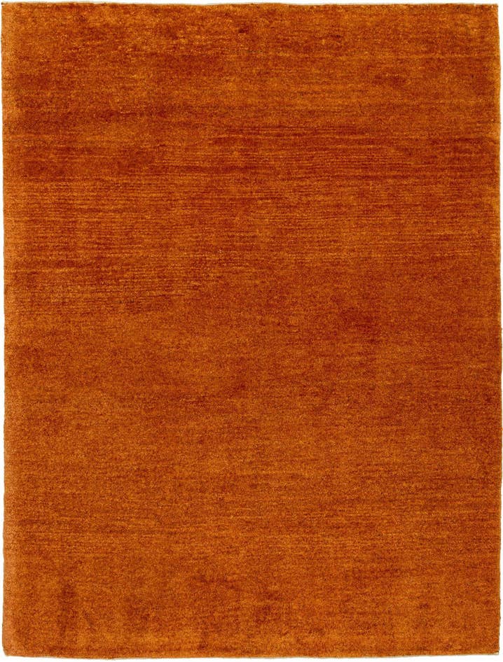 Detail image of 4' 5 x 5' 9 Gabbeh Shouli Rug