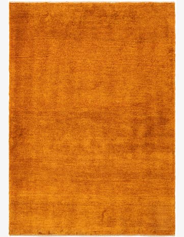 3' 5 x 4' 10 Gabbeh Shouli Rug