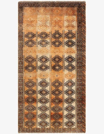 3' x 5' 9 Hamedan Rug