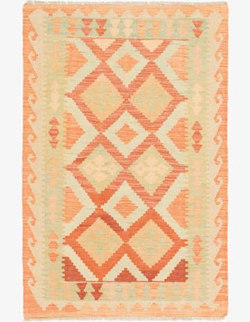 2' 9 x 4' 2 Hand Woven Kilim Waziri Wool Rug