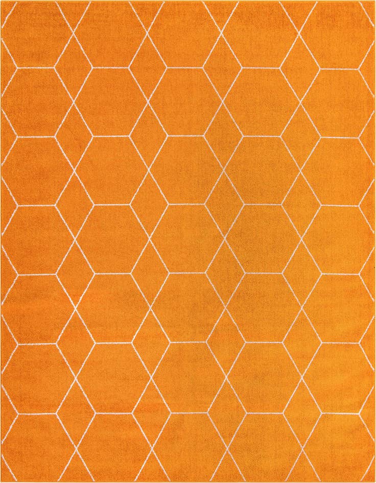 Detail image of 7' 10 x 11' Lattice Frieze Rug