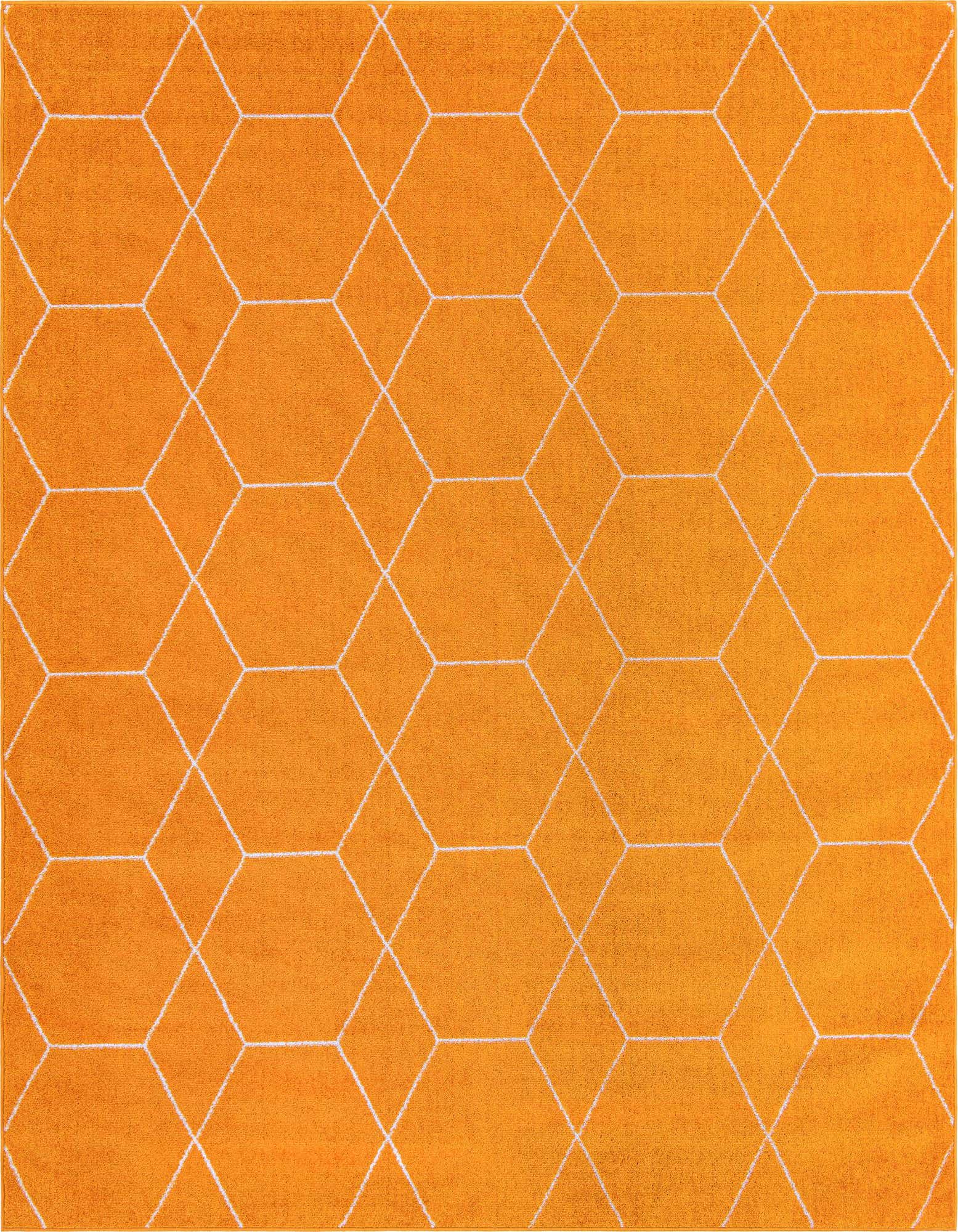 7' 10 x 10' Lattice Frieze Rug