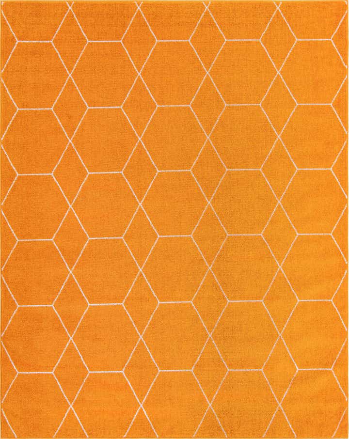 7' 10 x 10' Lattice Frieze Rug