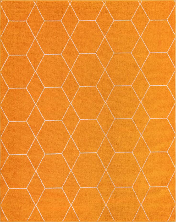 Detail image of 7' 10 x 10' Lattice Frieze Rug