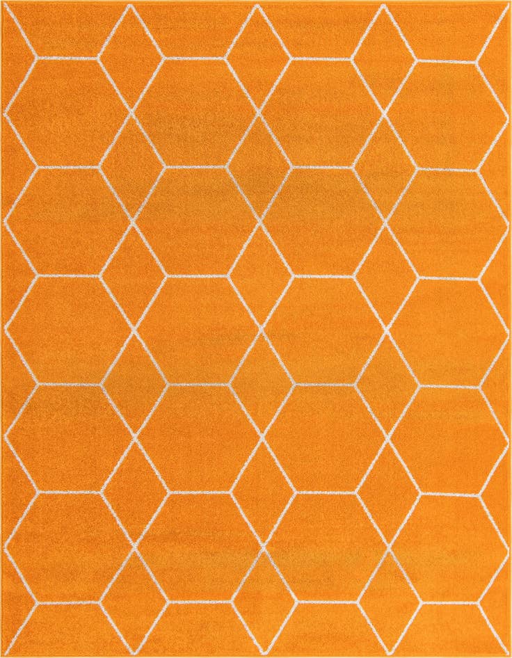 Detail image of 7' x 10' Lattice Frieze Rug