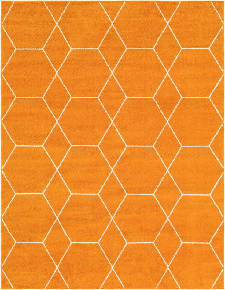 Detail image of 6' x 9' Lattice Frieze Rug