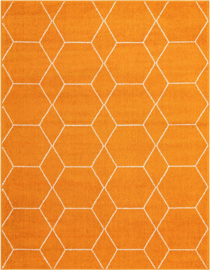 Detail image of 5' 3 x 8' Lattice Frieze Rug