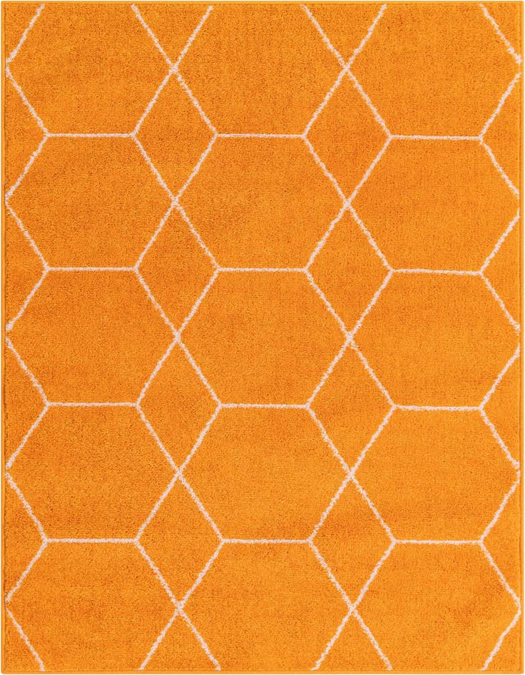 Detail image of 3' x 5' 3 Lattice Frieze Rug