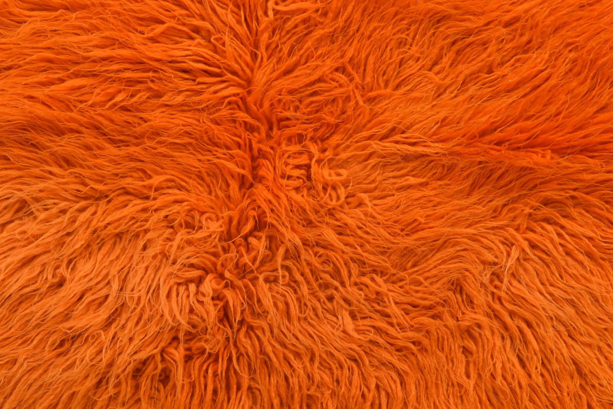 3' x 4' 5 Hand Knotted Moroccan Wool Rug