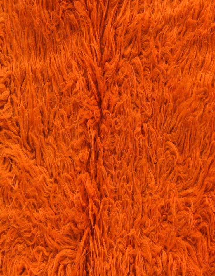 Detail image of 2' x 3' 8  Hand Knotted Moroccan Wool Rug