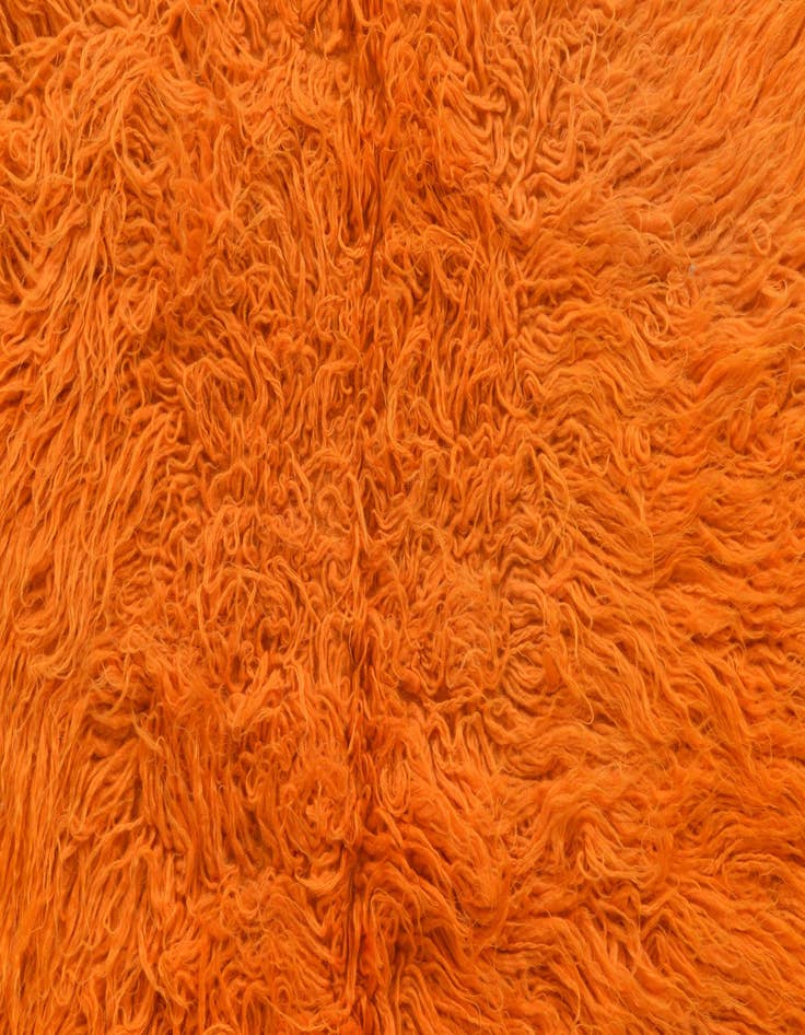 Detail image of 2' 8 x 4' 2  Hand Knotted Moroccan Wool Rug