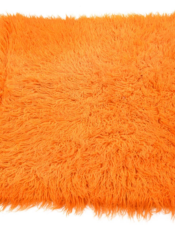 Detail image of 2' 9 x 5' 5  Hand Knotted Moroccan Wool Rug