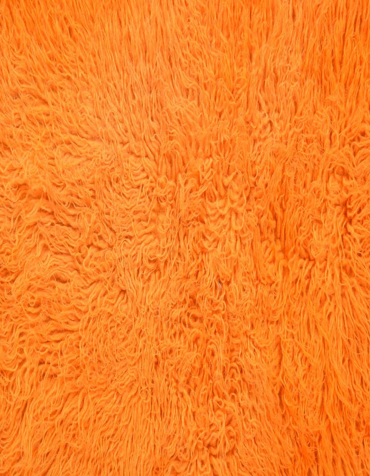 Detail image of 2' 9 x 5' 5  Hand Knotted Moroccan Wool Rug