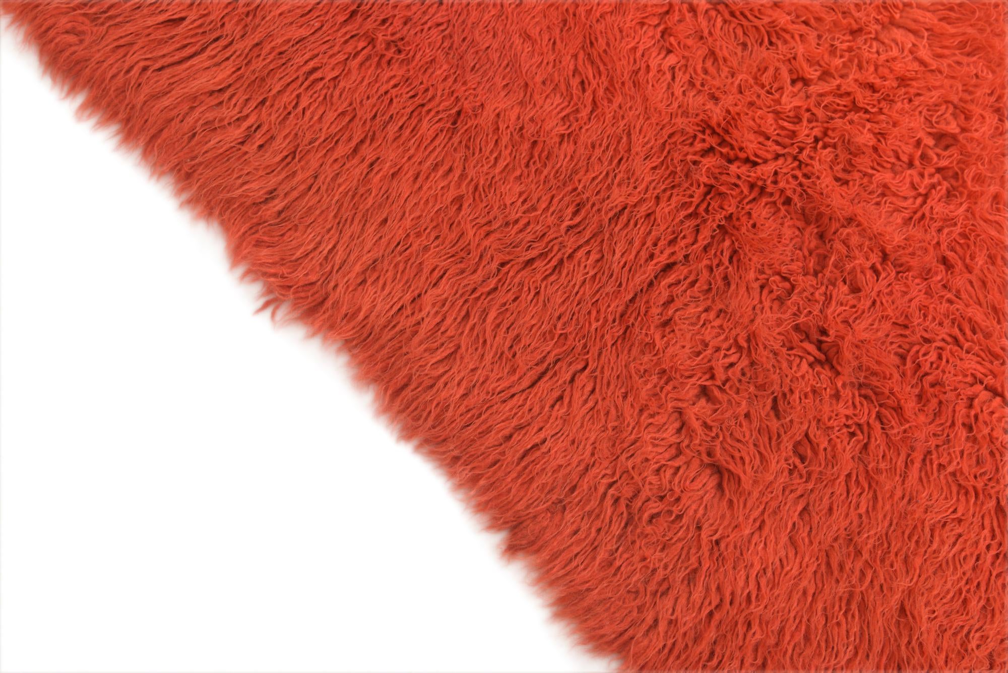 4' 8 x 6' 6 Hand Knotted Moroccan Wool Rug