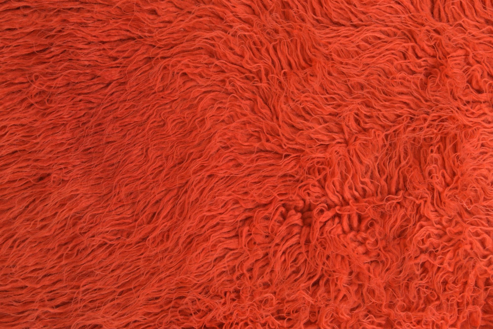 4' 8 x 6' 6 Hand Knotted Moroccan Wool Rug