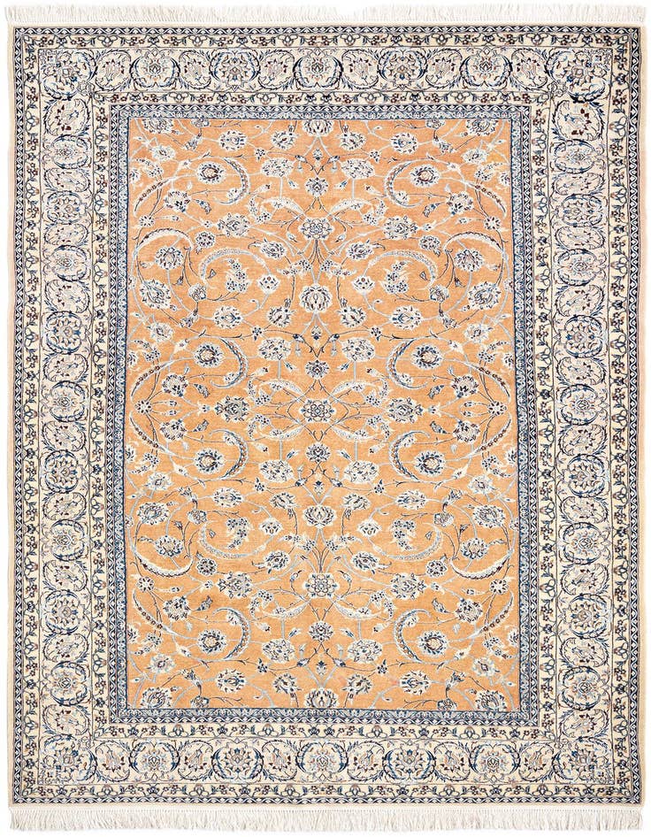 Detail image of 5' 1 x 8' 5 Nain Rug
