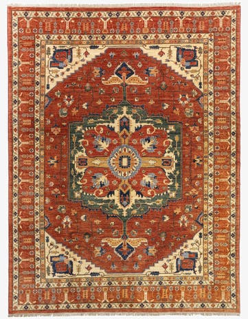 9' 9 x 12' 8 Serapi Wool Rug