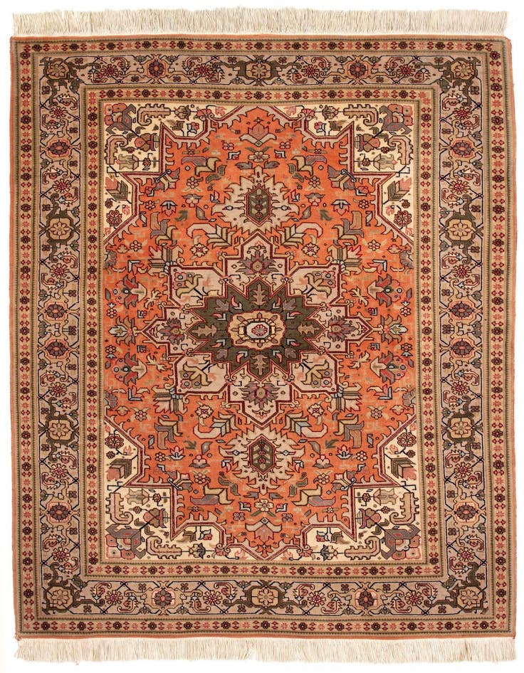 Detail image of 3' 5 x 5' 1 Tabriz Rug