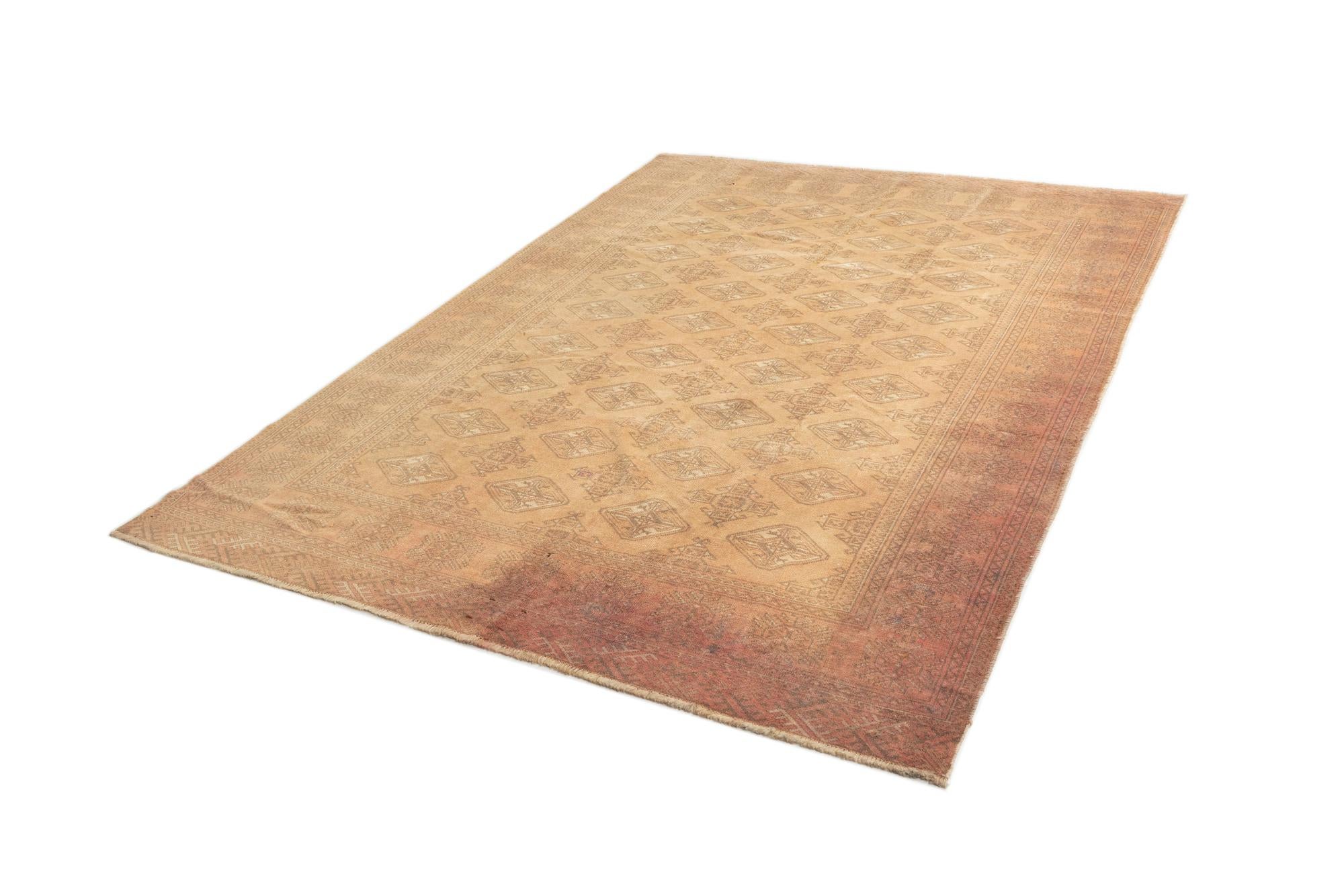 6' 4 x 9' 7 Torkaman Wool Rug