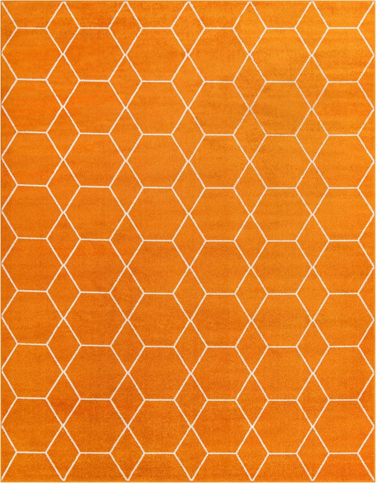 Detail image of 10' x 14' Trellis Frieze Rug