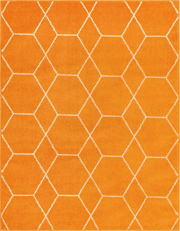 Detail image of 4' x 6' Trellis Frieze Rug