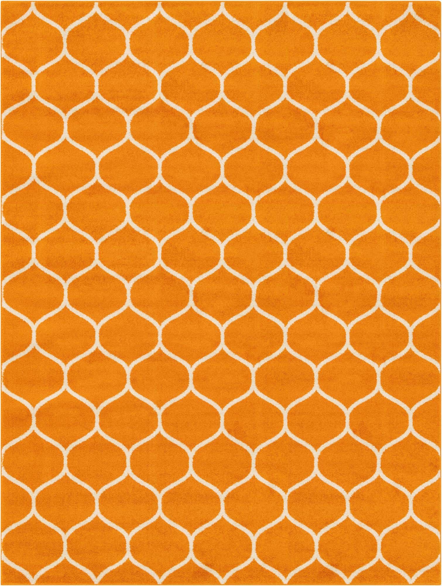 9' x 12' Trellis Frieze Rug
