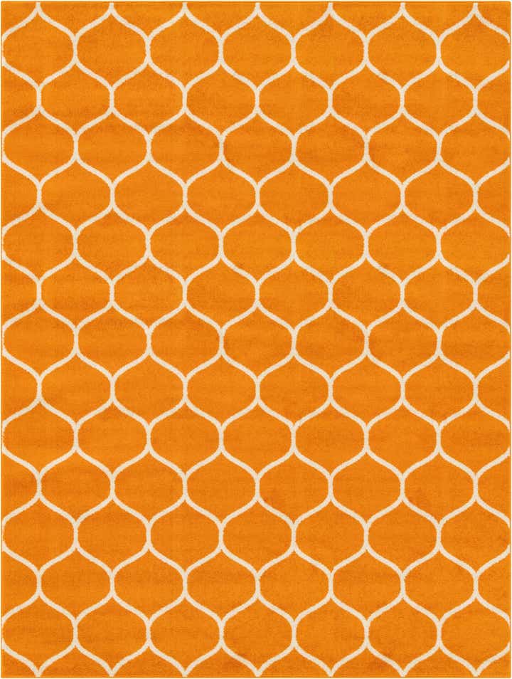9' x 12' Trellis Frieze Rug