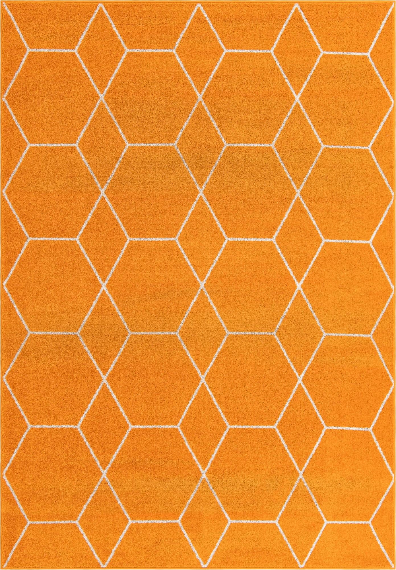 Primary image 7' x 10' Trellis Frieze Rug