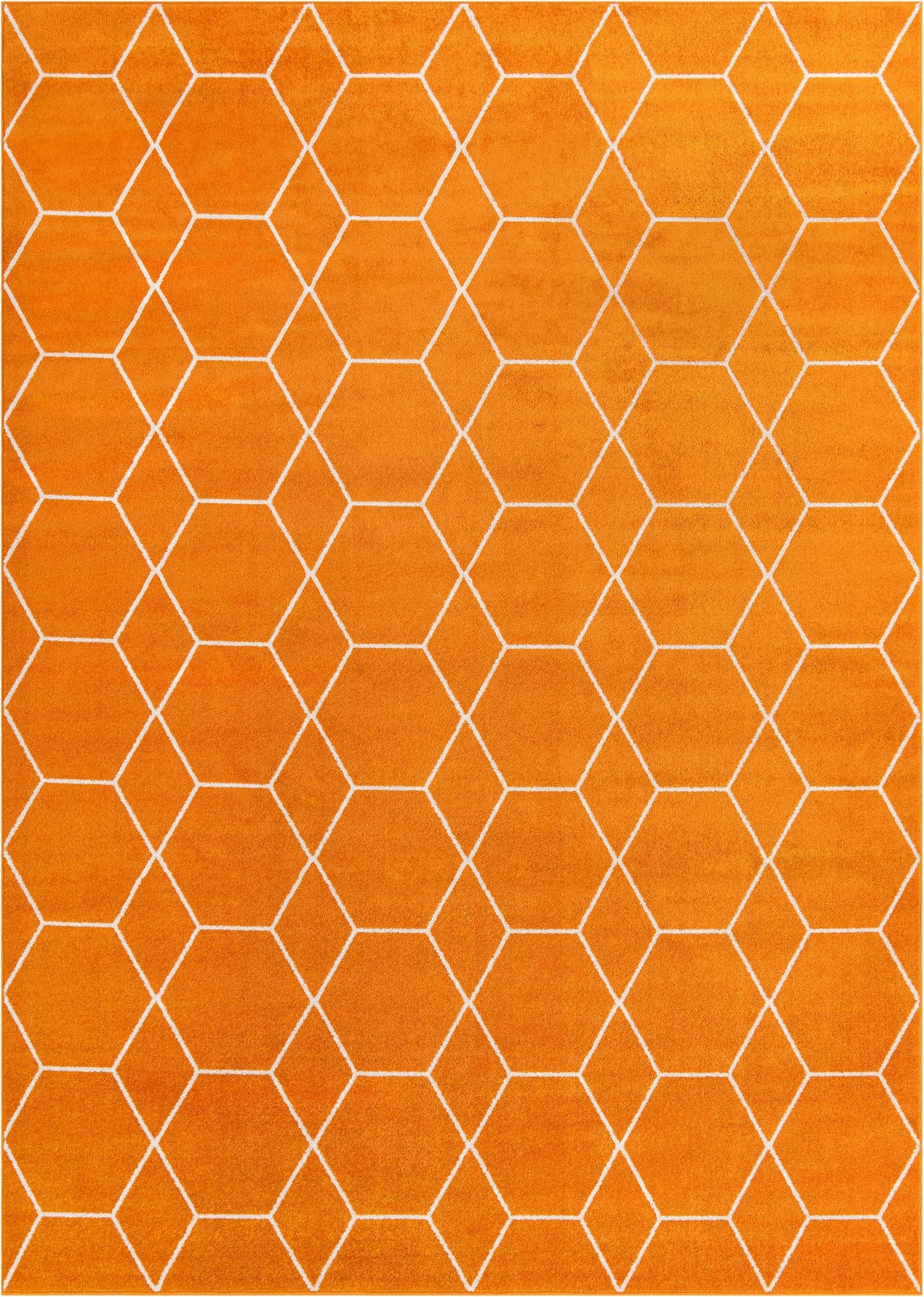 Primary image 10' x 14' Trellis Frieze Rug