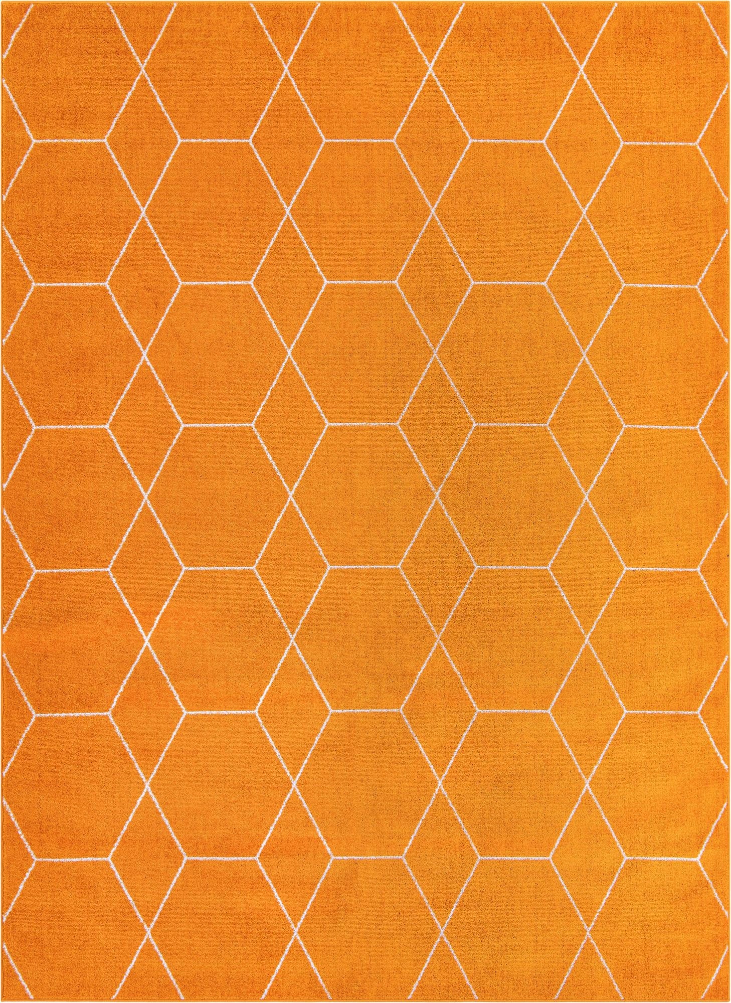 7' 10 x 11' Trellis Frieze Rug