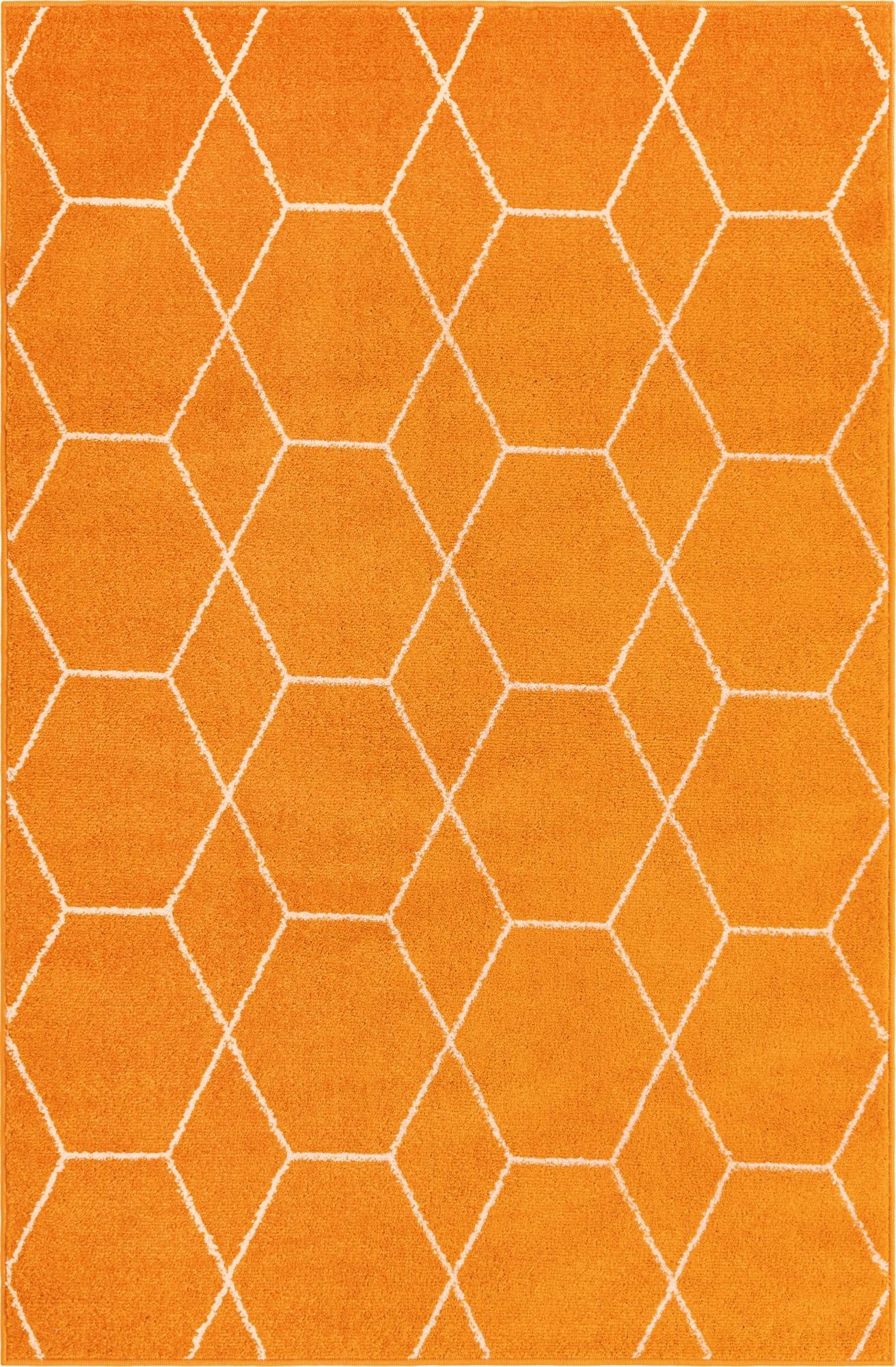 4' x 6' Trellis Frieze Rug