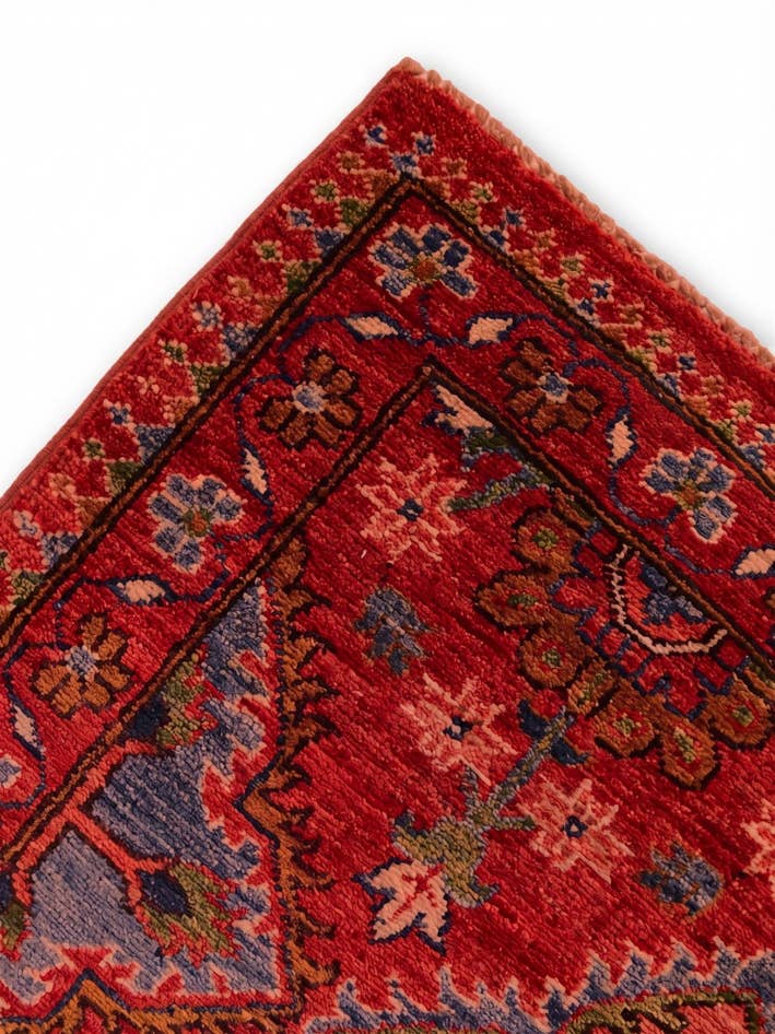 Detail image of 2' 10 x 9' 9 Hand Knotted Ariana Ziegler Runner Rug