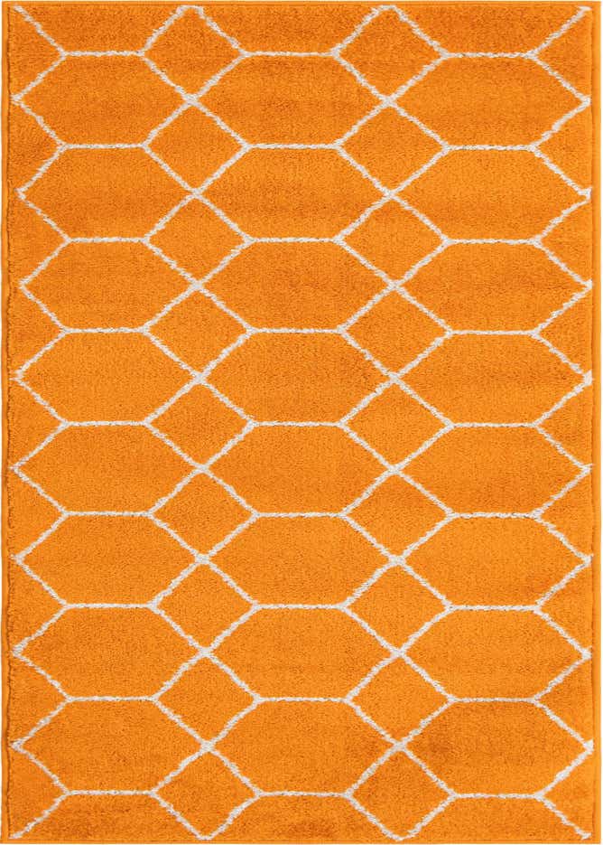 2' x 6' Lattice Frieze Runner Rug