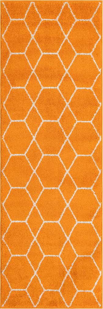 2' x 6' Lattice Frieze Runner Rug