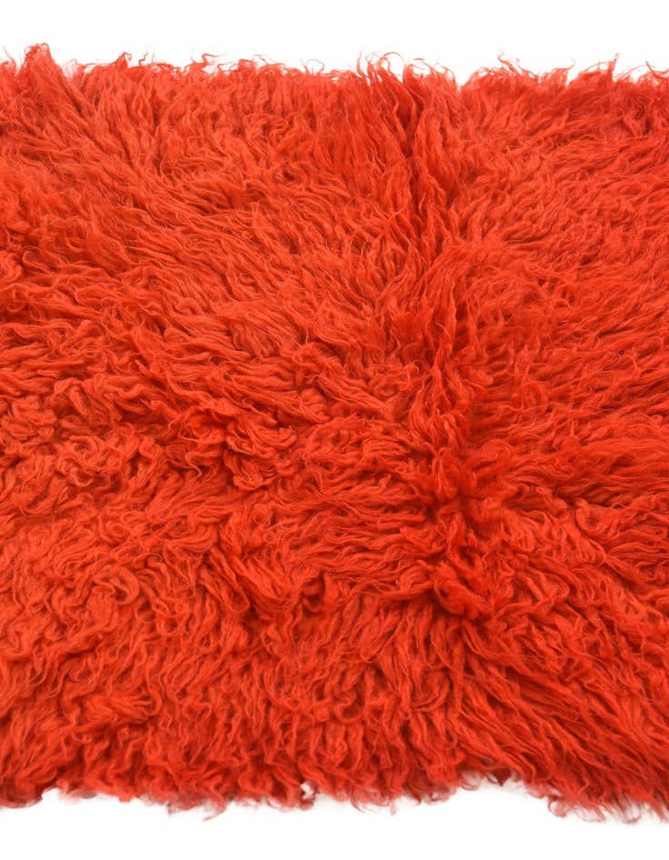 Detail image of 2' x 4'  Hand Knotted Moroccan Wool Runner Rug