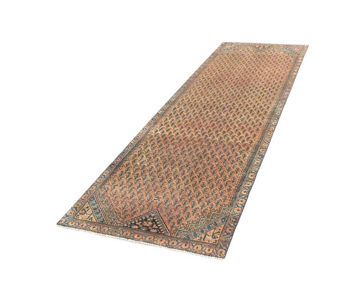 3' 3 x 10' 8 Serabend Runner Rug