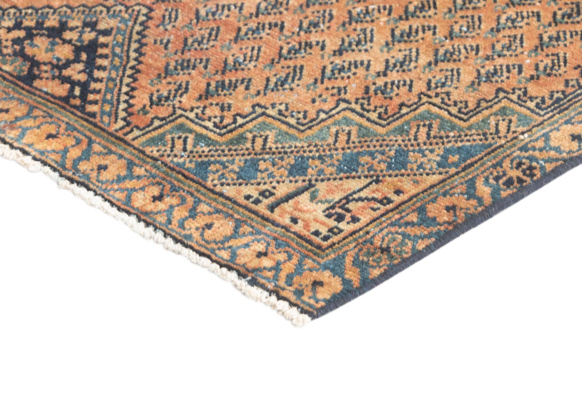 3' 3 x 10' 8 Serabend Runner Rug