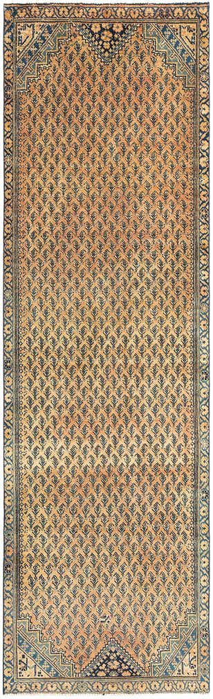 3' 3 x 10' 8 Serabend Runner Rug