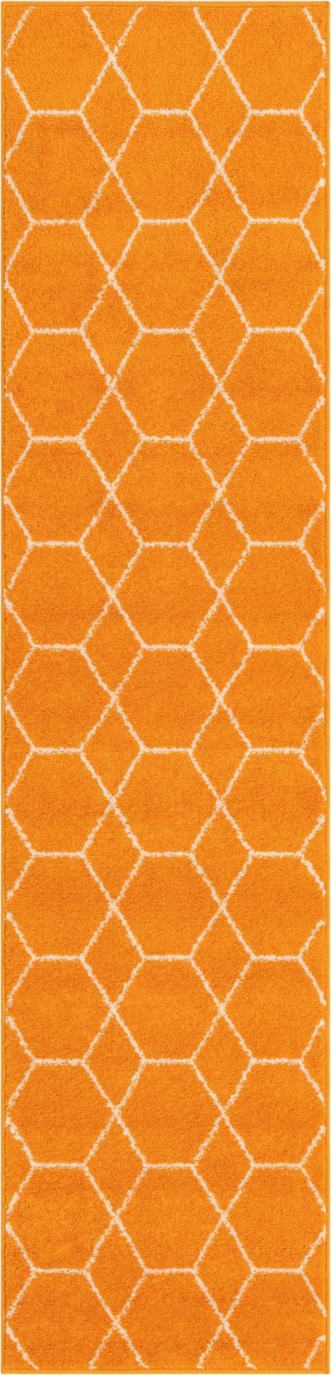 Primary image 2' x 9' Trellis Frieze Runner Rug