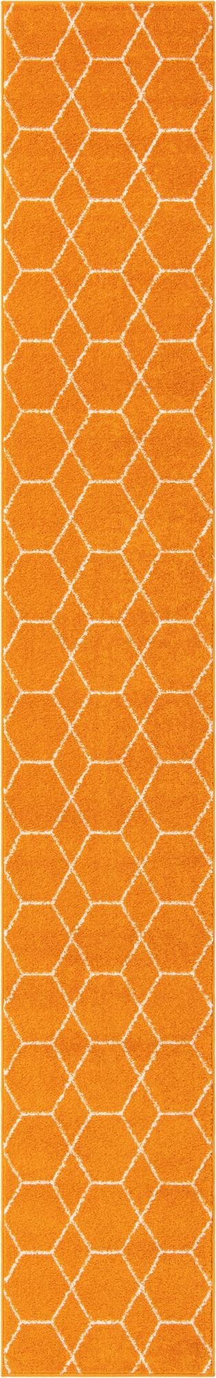 Primary image 2' x 13' Trellis Frieze Runner Rug