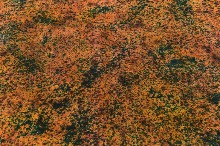 Detail image of 9' 8 x 10' 4 Hand Knotted Ultra Vintage Persian Wool Square Rug