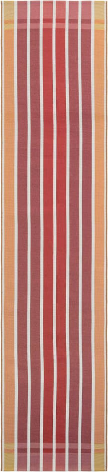 Detail image of 2' 7 x 12' Easy-Clean Striped Indoor / Outdoor Runner Rug